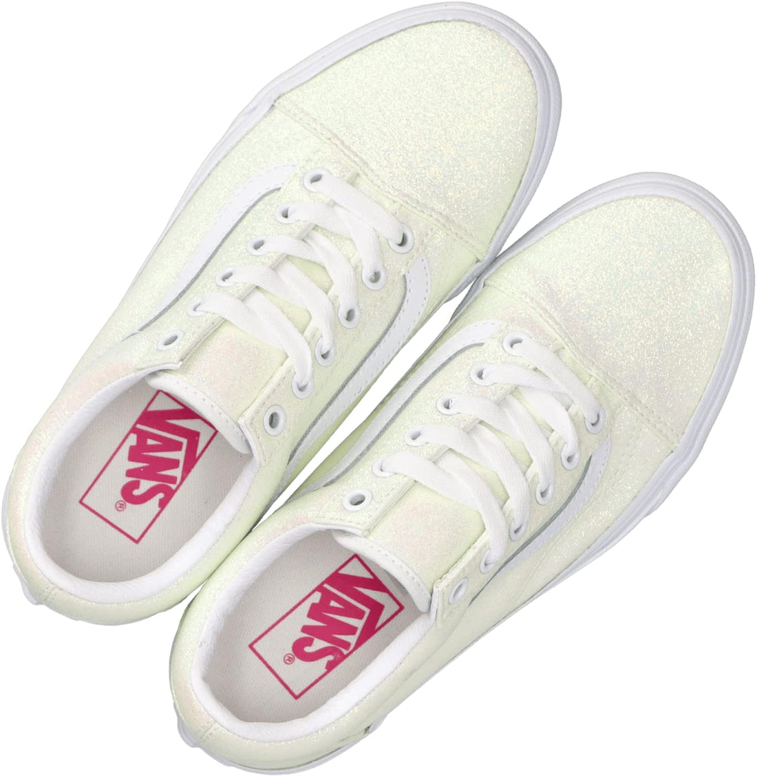 Vans Unisex Adult Old Skool Sneakers