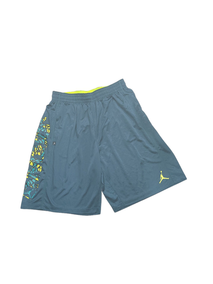 Jordan Mens Dri-Fit Shorts