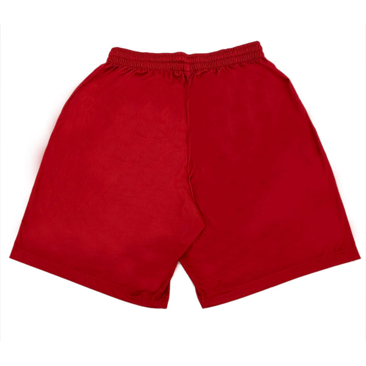 Jordan Mens Court Fit Shorts