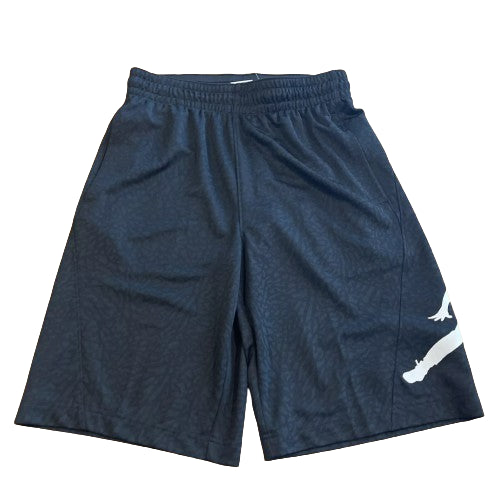 Jordan Mens Basketball Shorts