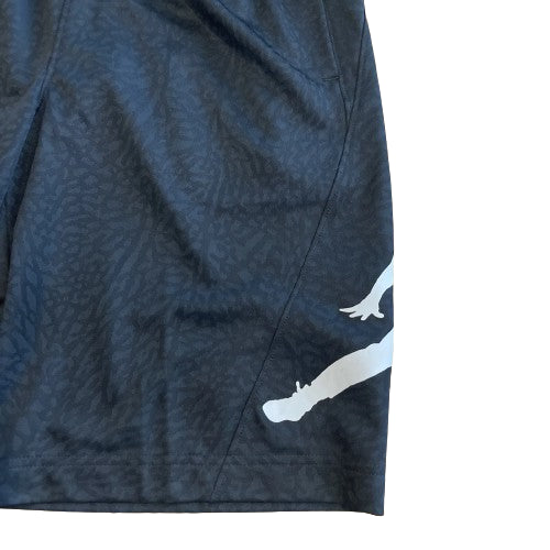 Jordan Mens Basketball Shorts