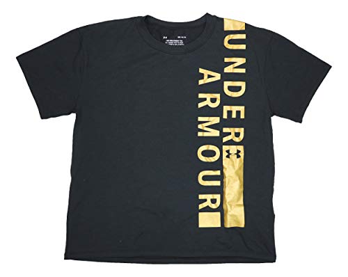 Under Armour Womens Metallic Logo T-Shirt